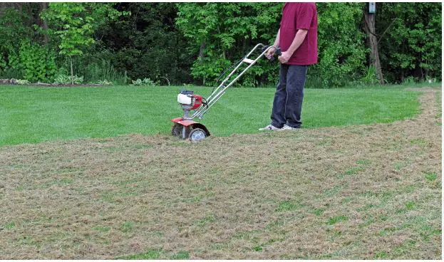 Pros and cons of dethatching lawn
