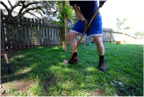 How to Transplant Grass